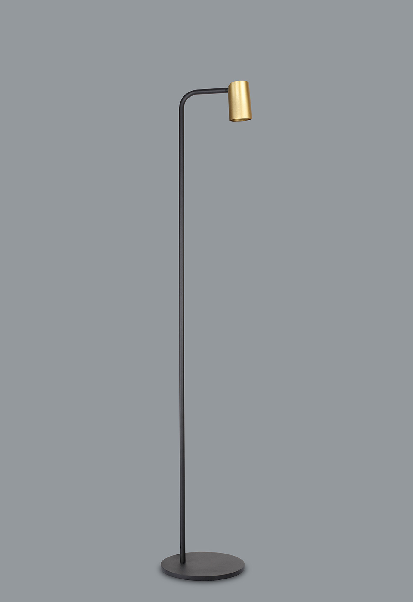 Sal Satin Gold Floor Lamps Mantra Fusion Task Lamps